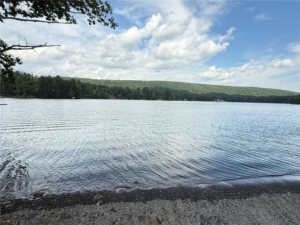 2433 State Street Oneonta, NY 13820 - Photo 45 of 47