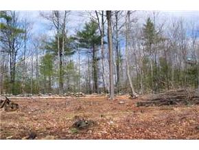 399 Clough Hill Road Loudon, NH 03307 - Photo 2 of 9 Gallery Image 2