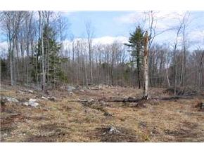 399 Clough Hill Road Loudon, NH 03307 - Photo 3 of 9 Gallery Image 3