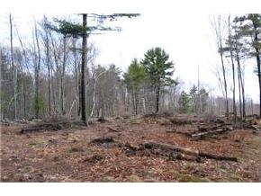 399 Clough Hill Road Loudon, NH 03307 - Photo 8 of 9 Gallery Image 8