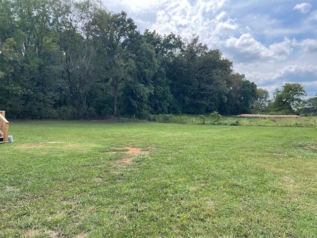 115 Waters Edge Dr Spring Spring City, TN 37381 - Photo 29 of 36 IMG_5097 (1)