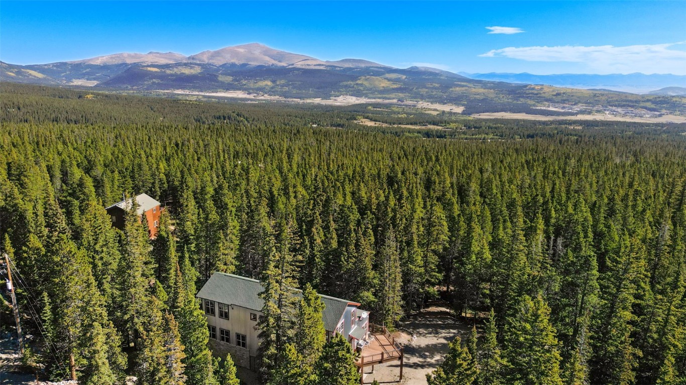 44 Gold Trail Circle Fairplay, CO 80440 - Photo 32 of 40 a view of a lush green hillside and houses