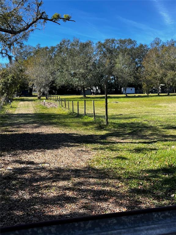 0 North Dover Road Dover, FL 33527 - Photo 2 of 7 a view of a yard with a large tree