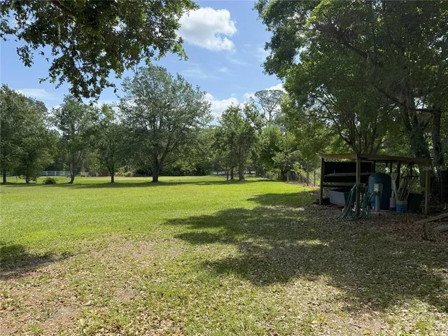 a view of a park with large trees