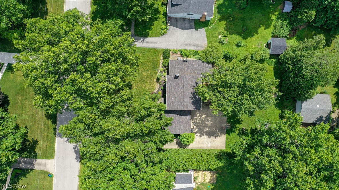 2411 Ridgeview Lane Youngstown, OH 44514 - Photo 39 of 48 Aerial perspective showcasing a property surrounded by mature trees, featuring a dark shingled roof, a concrete driveway, and a spacious green lawn