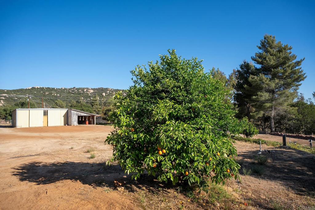 22170 Japatul Valley Road Alpine, CA 91901 - Photo 53 of 73