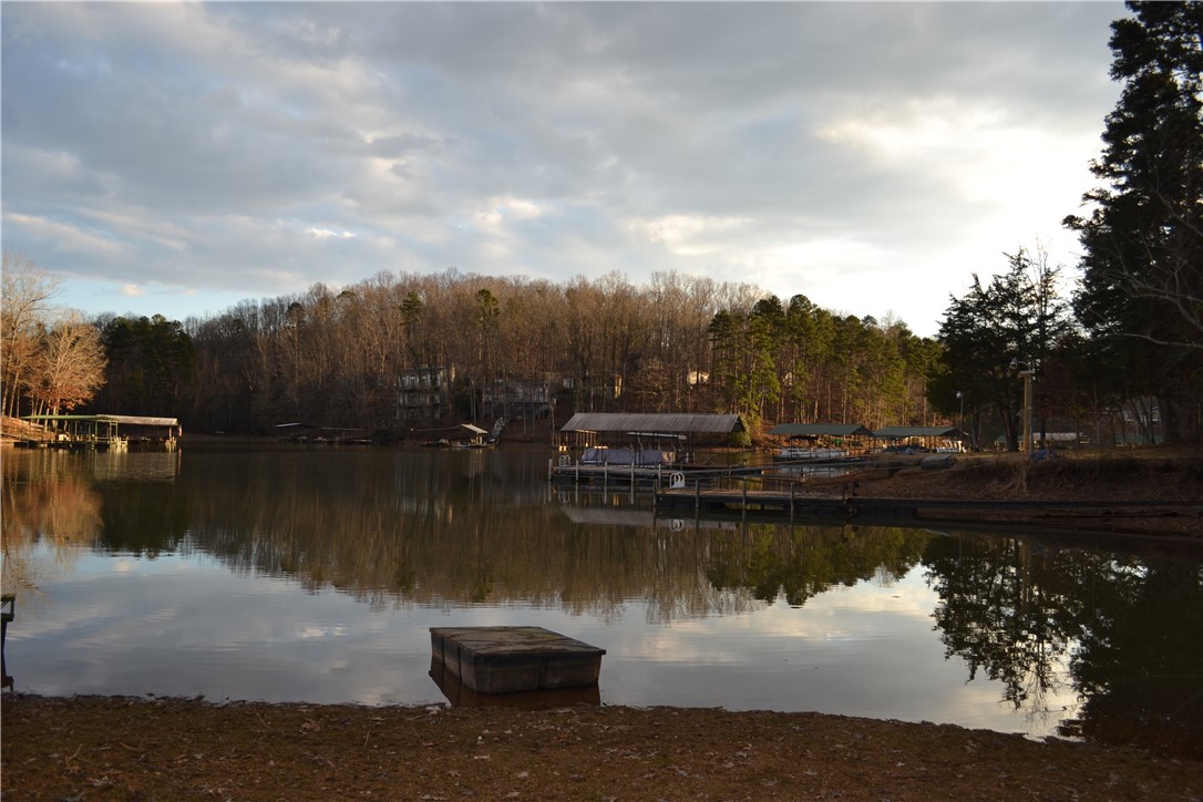 741-743 Shelor Ferry Road Fair Play, SC 29643 - Photo 7 of 10