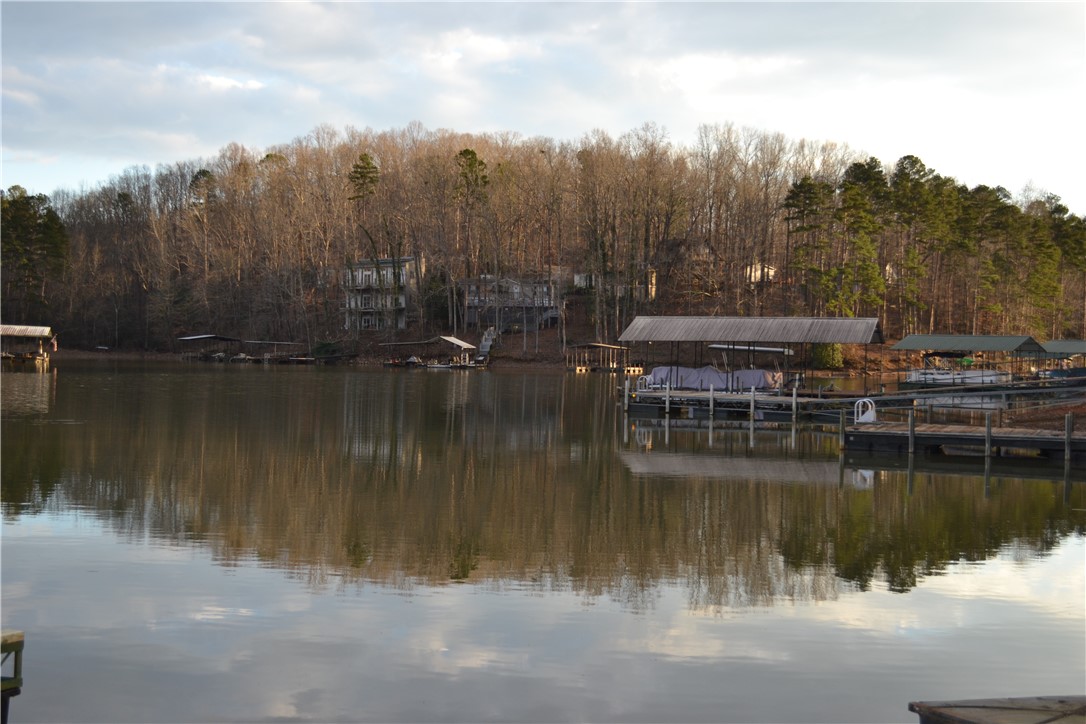 741-743 Shelor Ferry Road Fair Play, SC 29643 - Photo 8 of 10