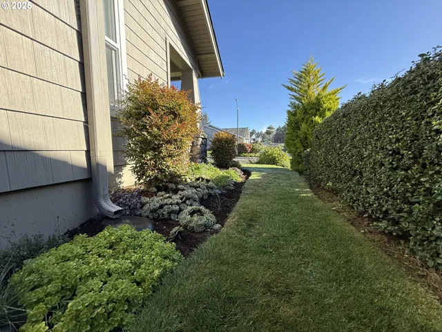 a view of a garden with plants