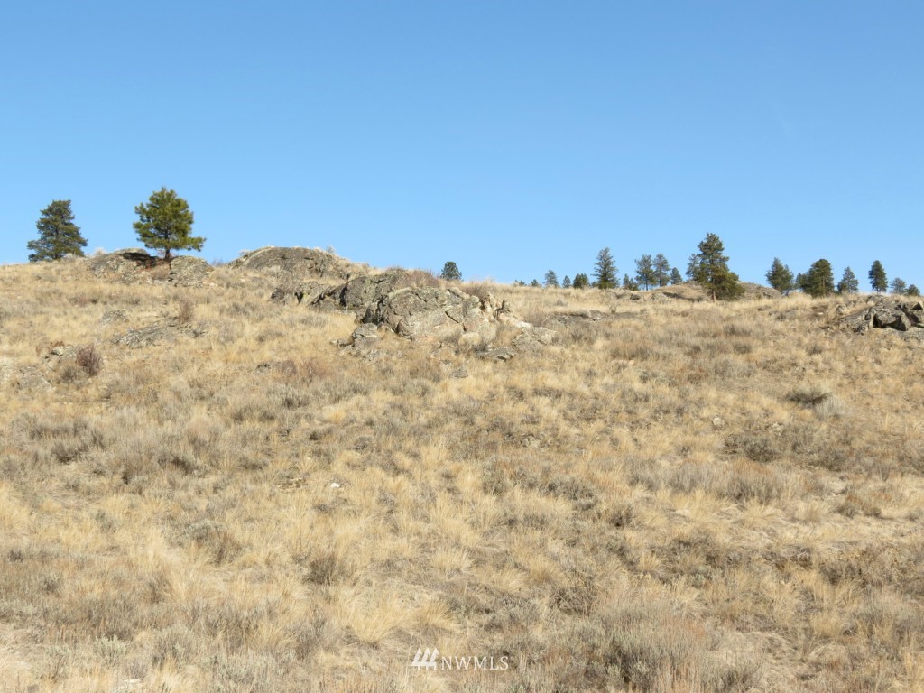 128 Sunset Ridge Road Oroville, WA 98844 - Photo 7 of 9 Gallery Image 7