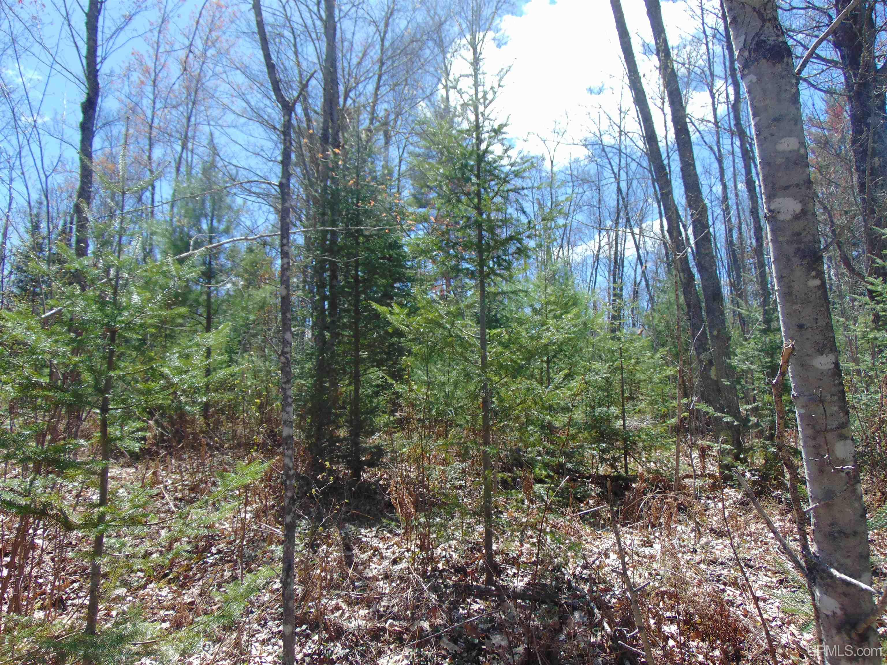 39 Sleepy Hollow Road Bruce Crossing, MI 49912 - Photo 15 of 24 Gallery Image 15