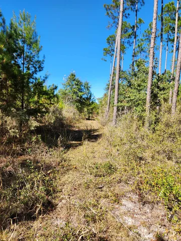$54,000 | 18193 Northwest Ponderosa Trail, Bristol, FL 32321