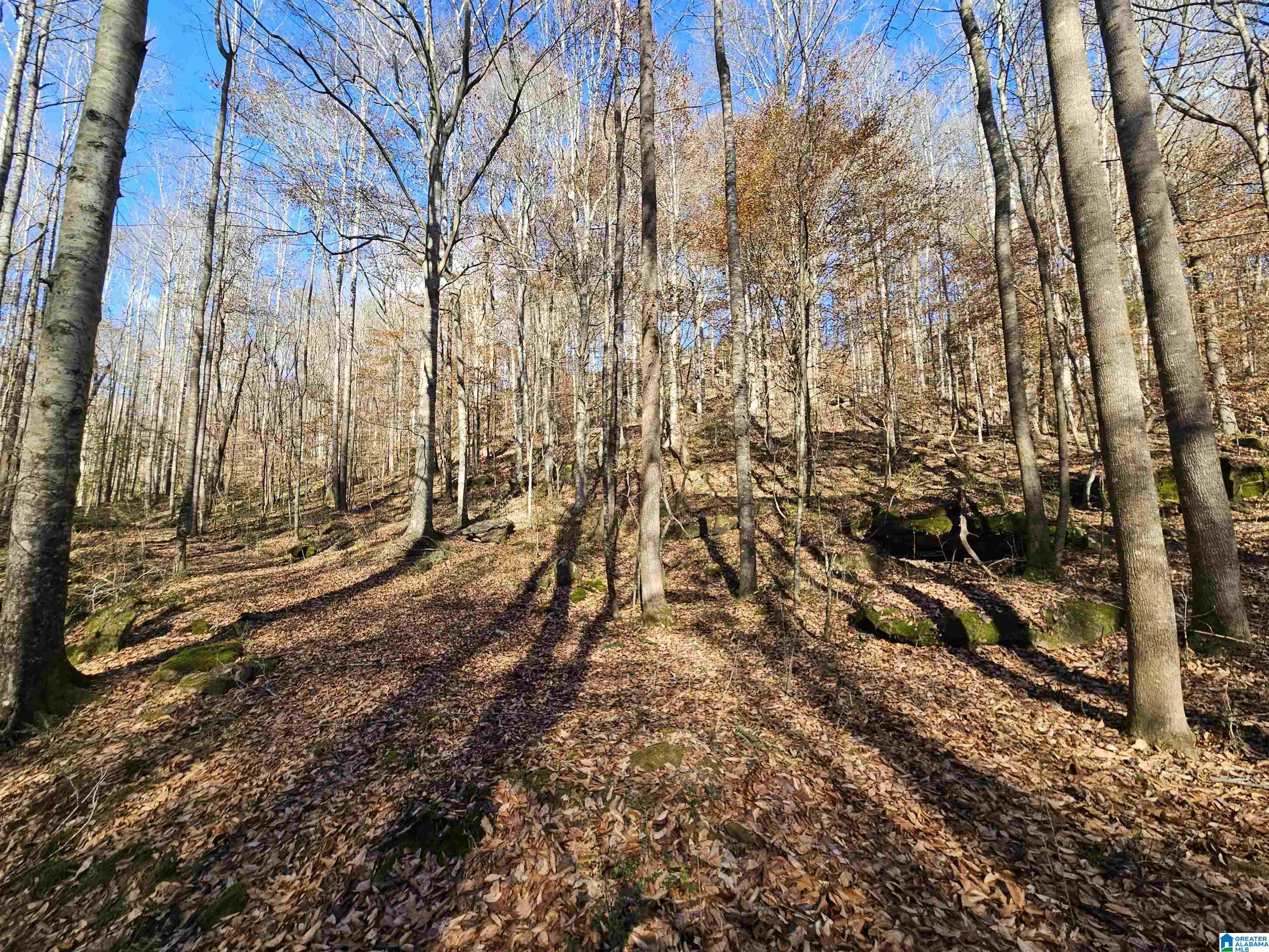 682 County Road 832 Logan, AL 35098 - Photo 45 of 48