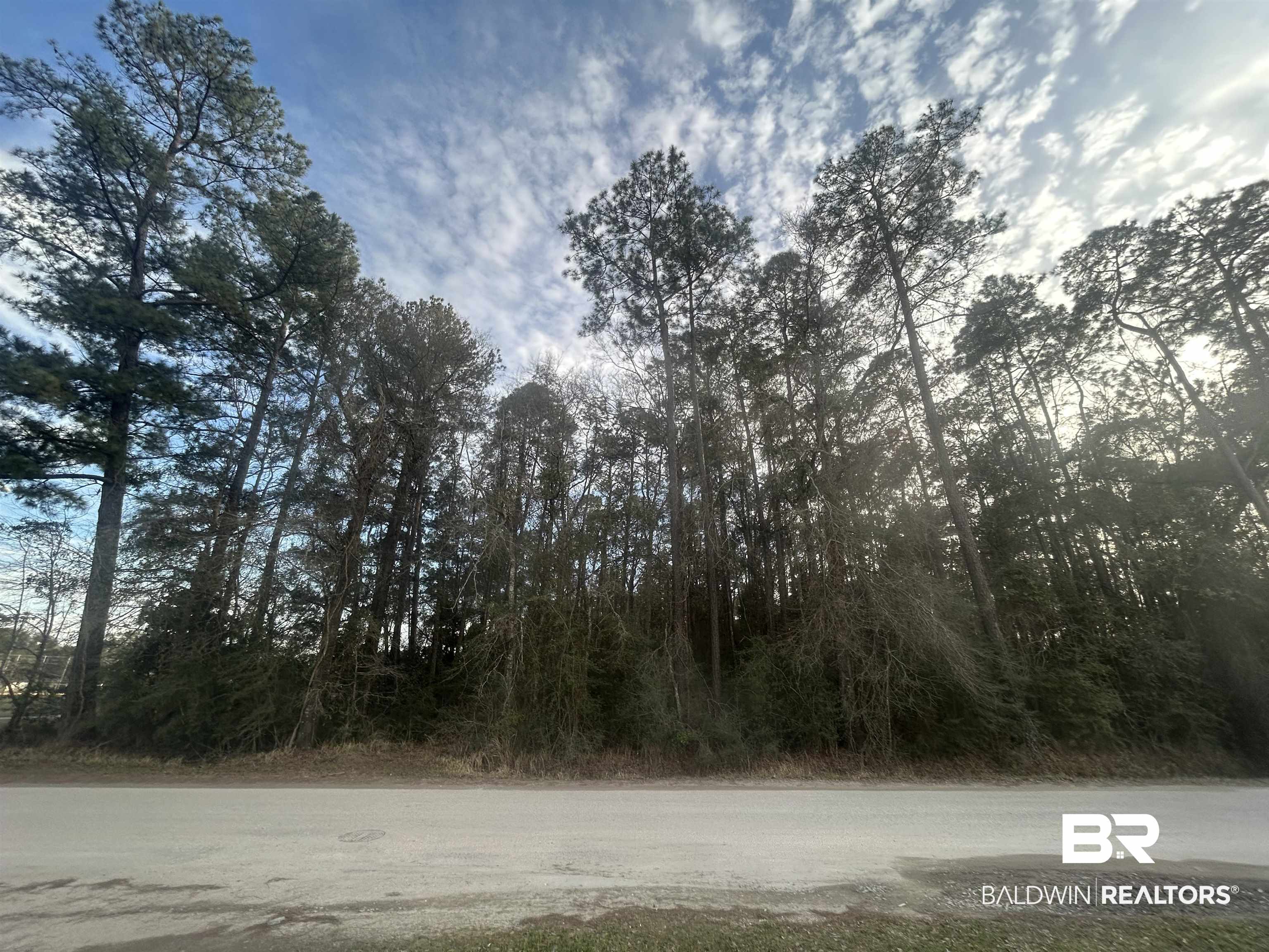 0 Baldwin Road Satsuma, AL 36572 - Photo 13 of 26 View of nature