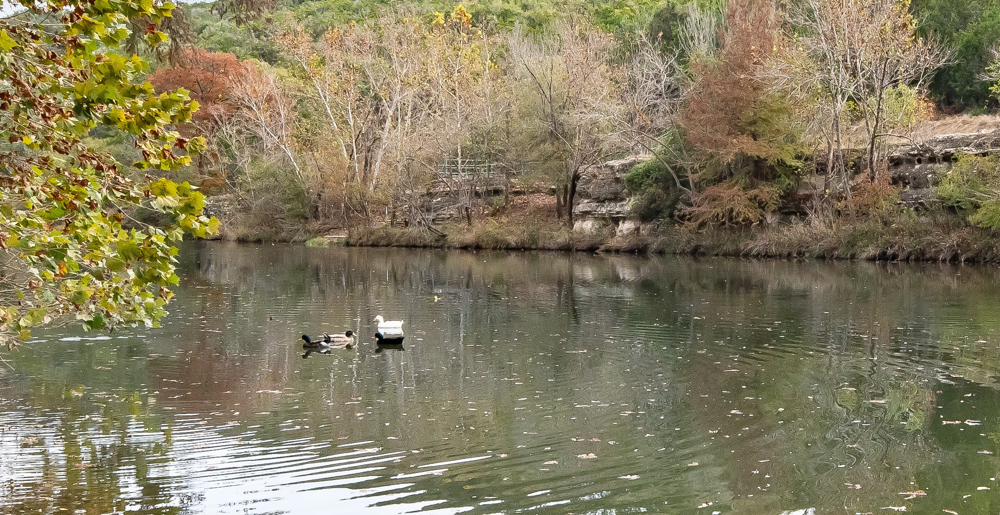 14524 Randy Lane New Braunfels, TX 78132 - Photo 6 of 29