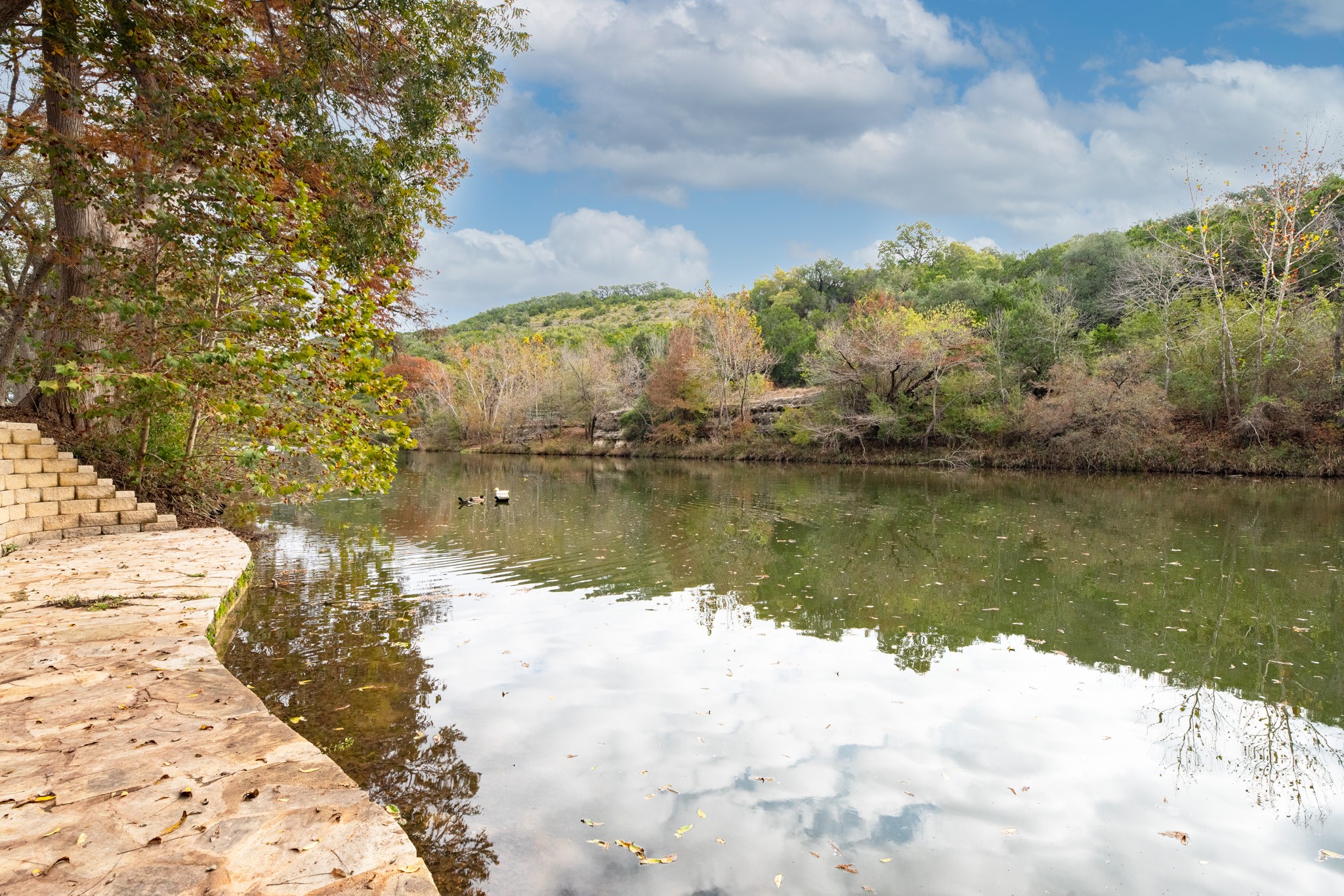 14524 Randy Lane New Braunfels, TX 78132 - Photo 7 of 29
