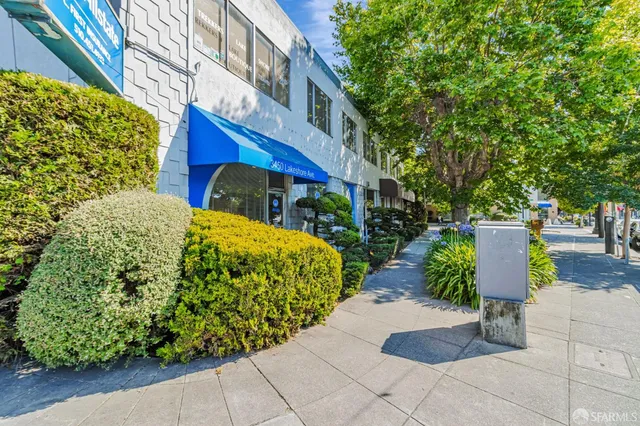 a view of a garden with plants