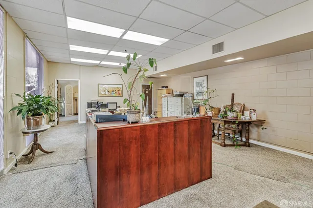 a living room with furniture a potted plant and a view of living room