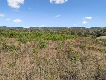 $105,000 | 0 Old Sink Church Tellico Plains, Tellico Plains, TN 37385