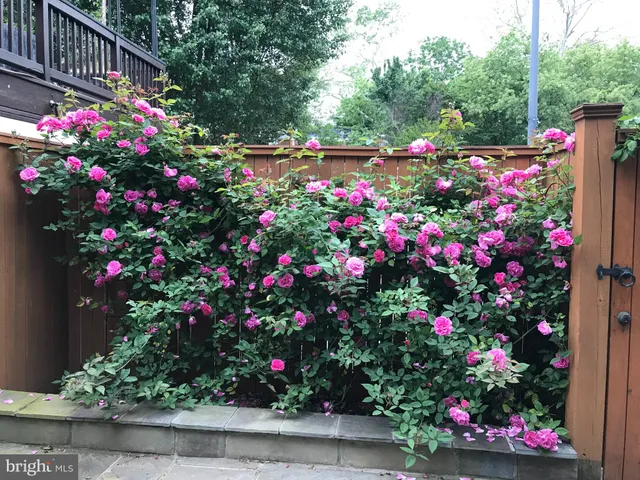 $2,600 | 2442 20th Street Northwest, Unit B, Washington, DC 20009