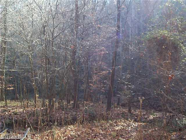 0 Butner Mill Road East Bend, NC 27018 - Photo 12 of 16 Other.