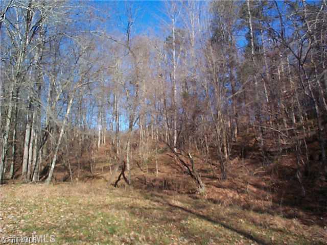 0 Butner Mill Road East Bend, NC 27018 - Photo 13 of 16 Other.