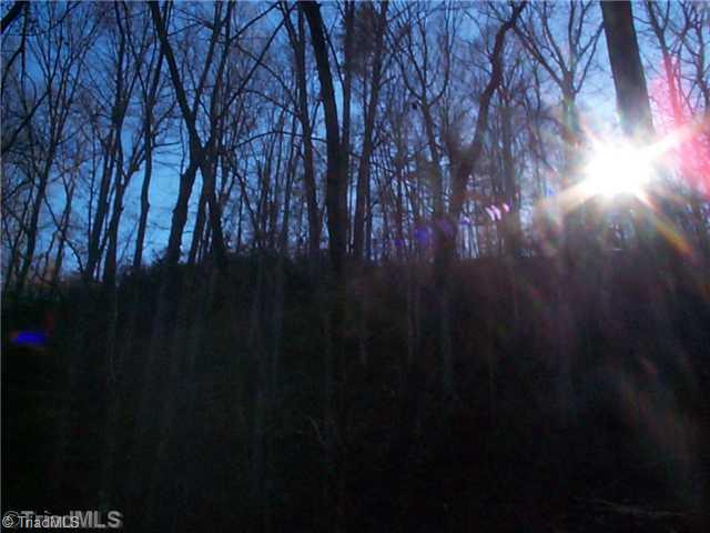0 Butner Mill Road East Bend, NC 27018 - Photo 14 of 16 Other.