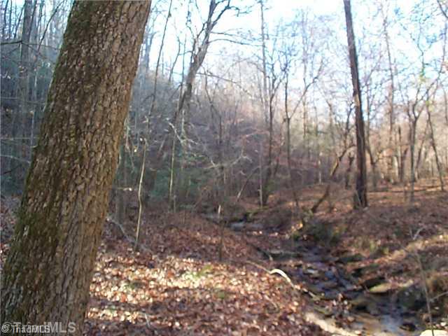 0 Butner Mill Road East Bend, NC 27018 - Photo 16 of 16 Other.