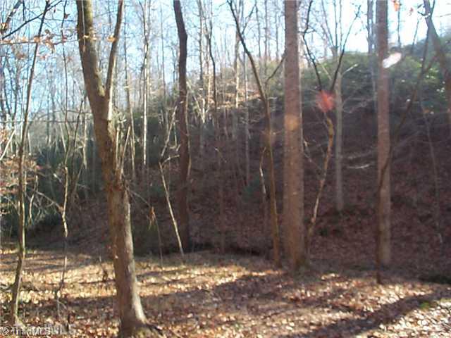 0 Butner Mill Road East Bend, NC 27018 - Photo 8 of 16 Other.