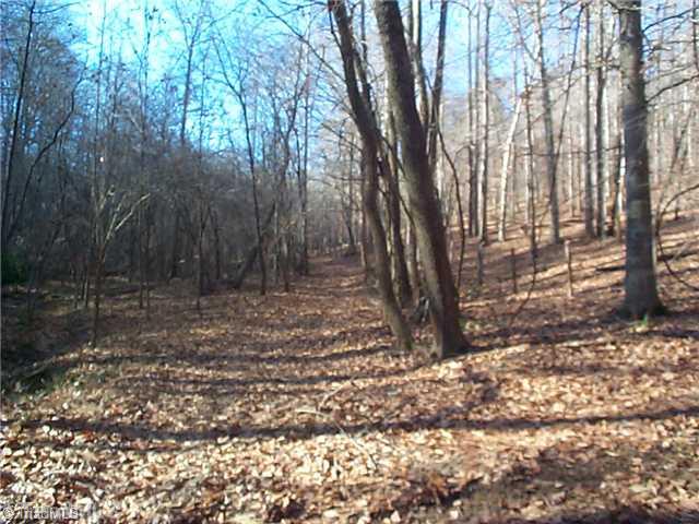 0 Butner Mill Road East Bend, NC 27018 - Photo 9 of 16 Other.