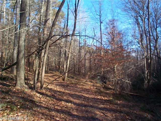 0 Butner Mill Road East Bend, NC 27018 - Photo 10 of 16 Other.