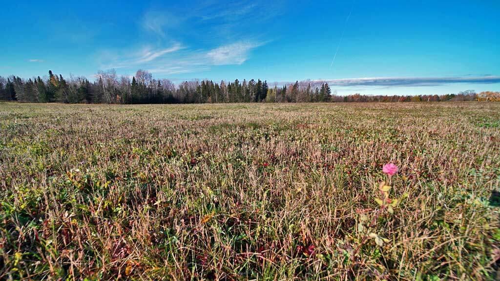 8 West Road Monticello, ME 04760 - Photo 32 of 43 maine-farm-monticello-me-la
