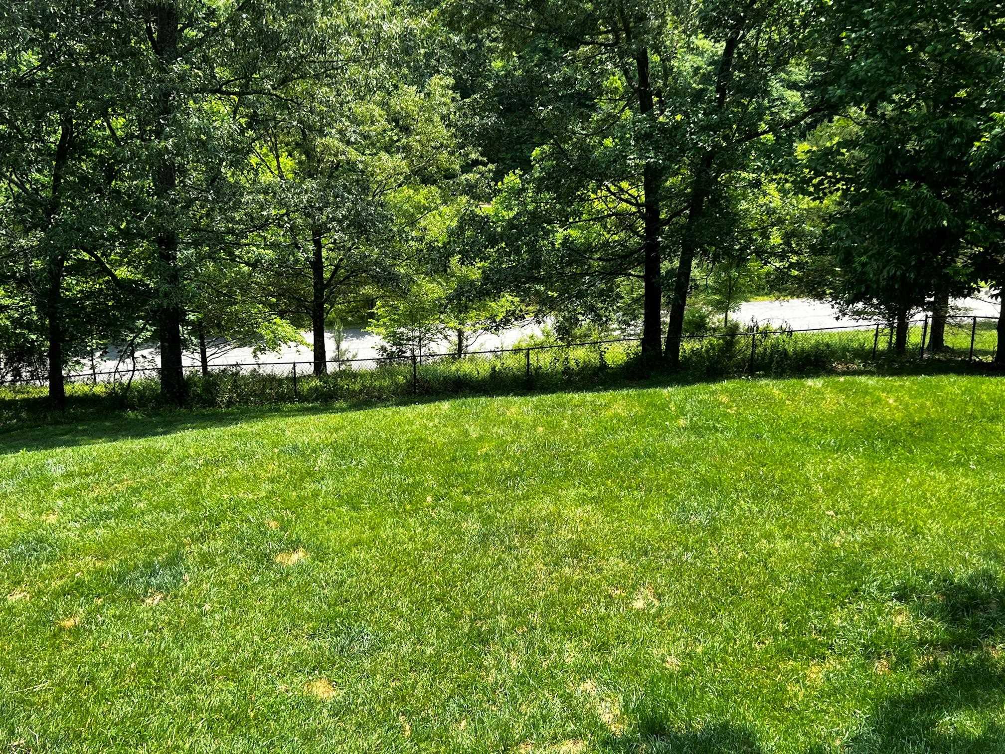3060 Fox Ridge Court Flatwoods, KY 41139 - Photo 46 of 47