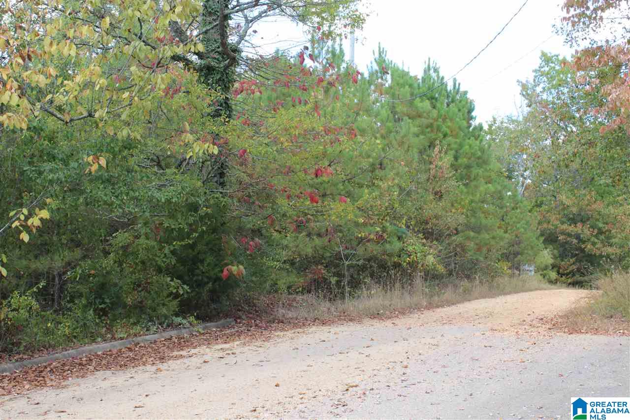 0 Dominion Road, Unit 1 Springville, AL 35146 - Photo 4 of 5 Gallery Image 4