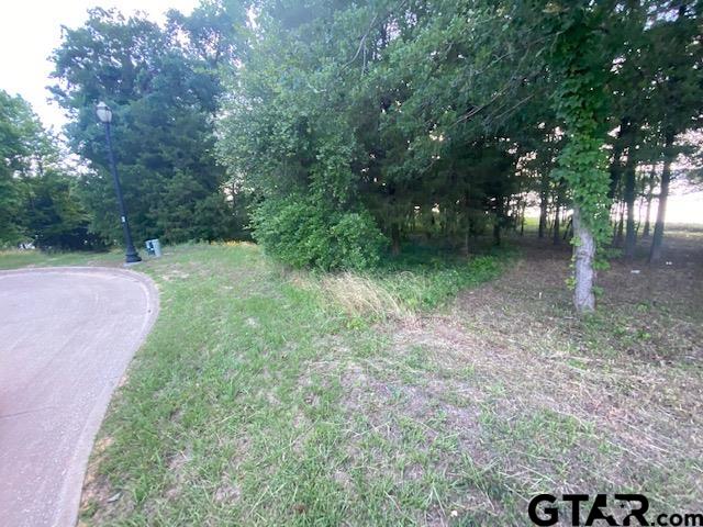 2413 Bellview Circle Tyler, TX 75709 - Photo 11 of 12