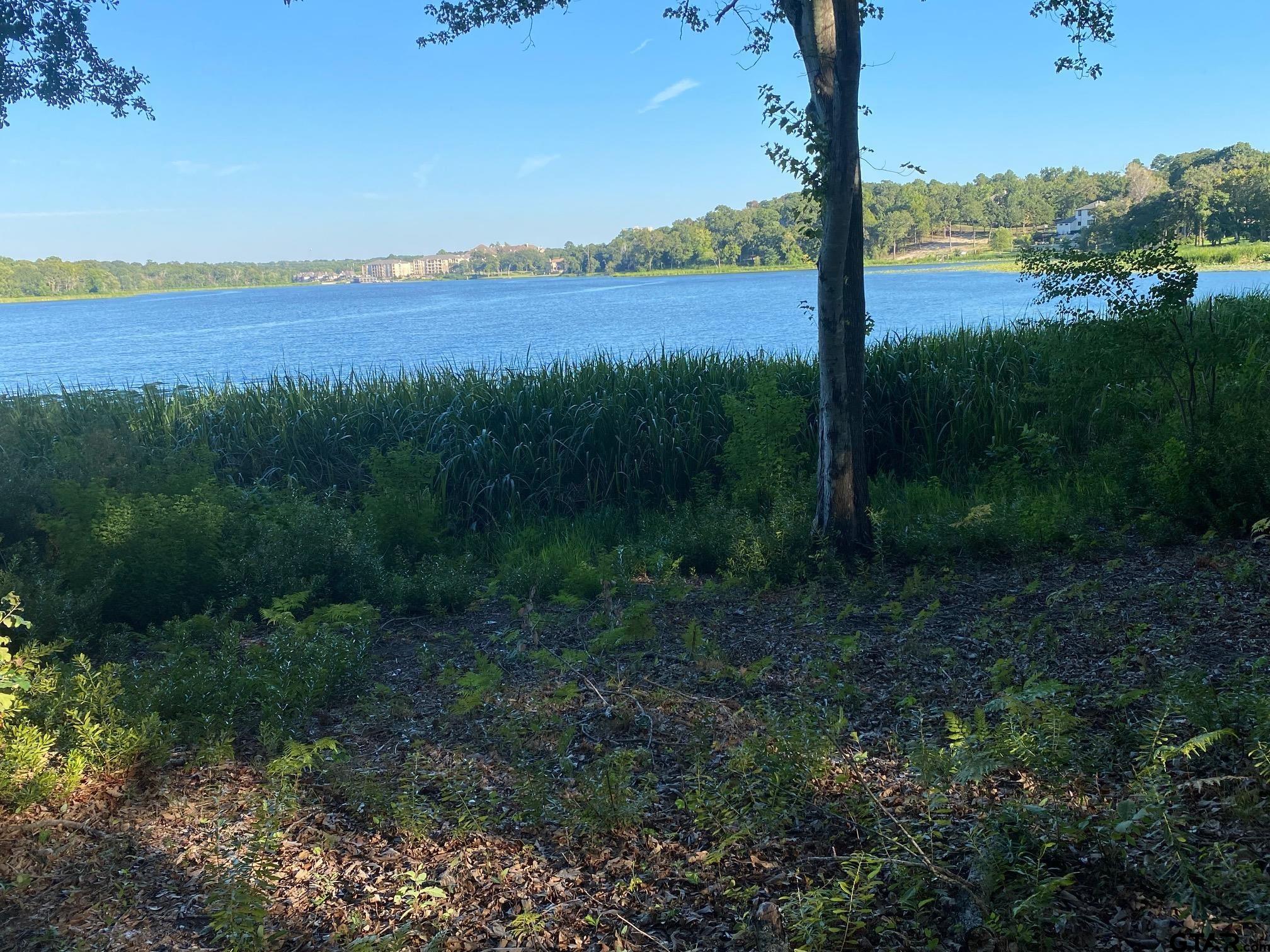 2413 Bellview Circle Tyler, TX 75709 - Photo 2 of 12