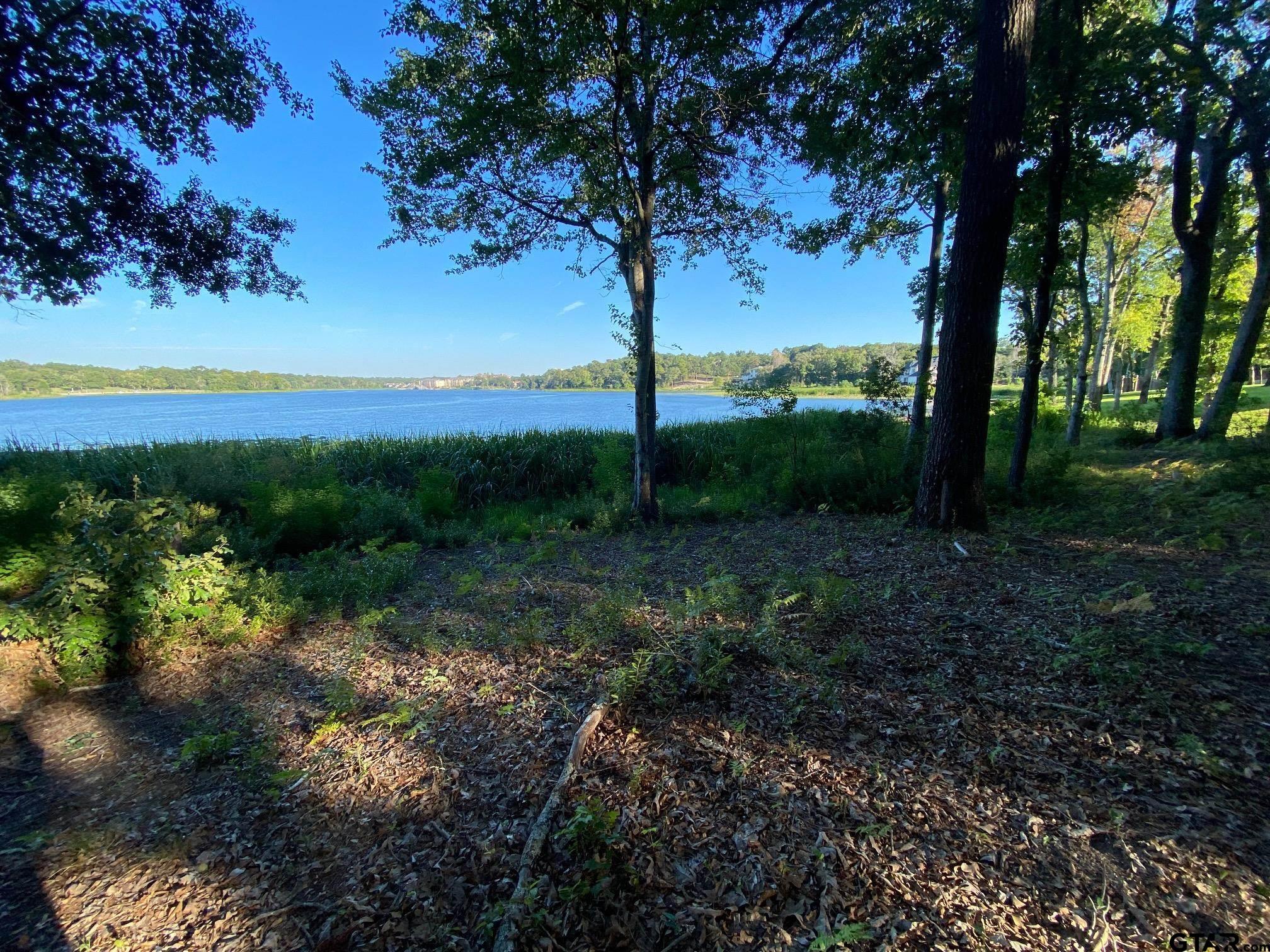 2413 Bellview Circle Tyler, TX 75709 - Photo 3 of 12