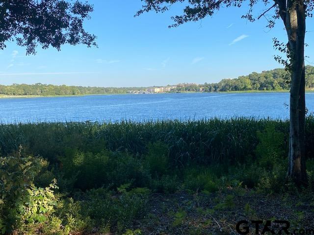 2413 Bellview Circle Tyler, TX 75709 - Photo 4 of 12