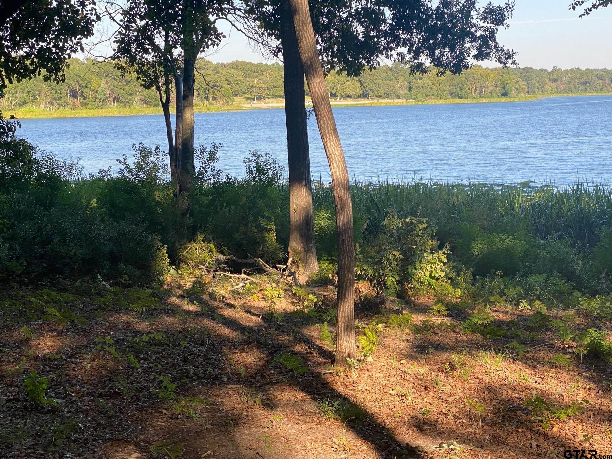 2413 Bellview Circle Tyler, TX 75709 - Photo 5 of 12