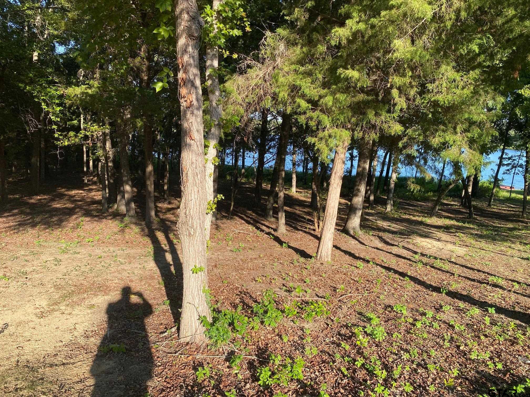 2413 Bellview Circle Tyler, TX 75709 - Photo 6 of 12