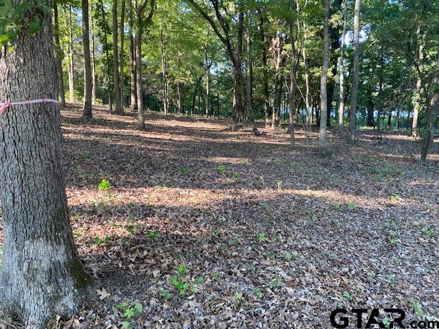 2413 Bellview Circle Tyler, TX 75709 - Photo 7 of 12