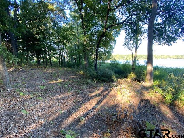 2413 Bellview Circle Tyler, TX 75709 - Photo 8 of 12