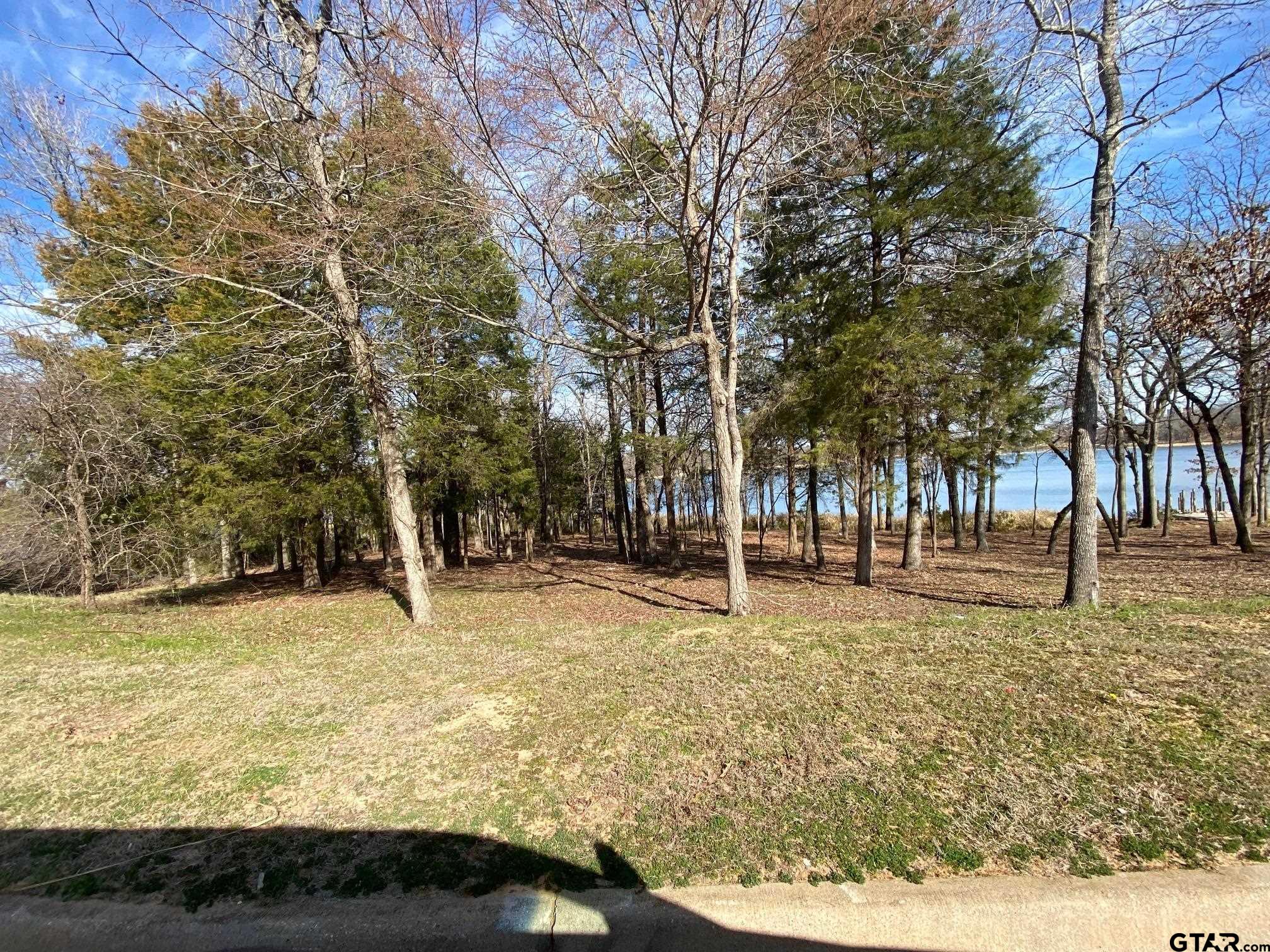 2413 Bellview Circle Tyler, TX 75709 - Photo 10 of 12