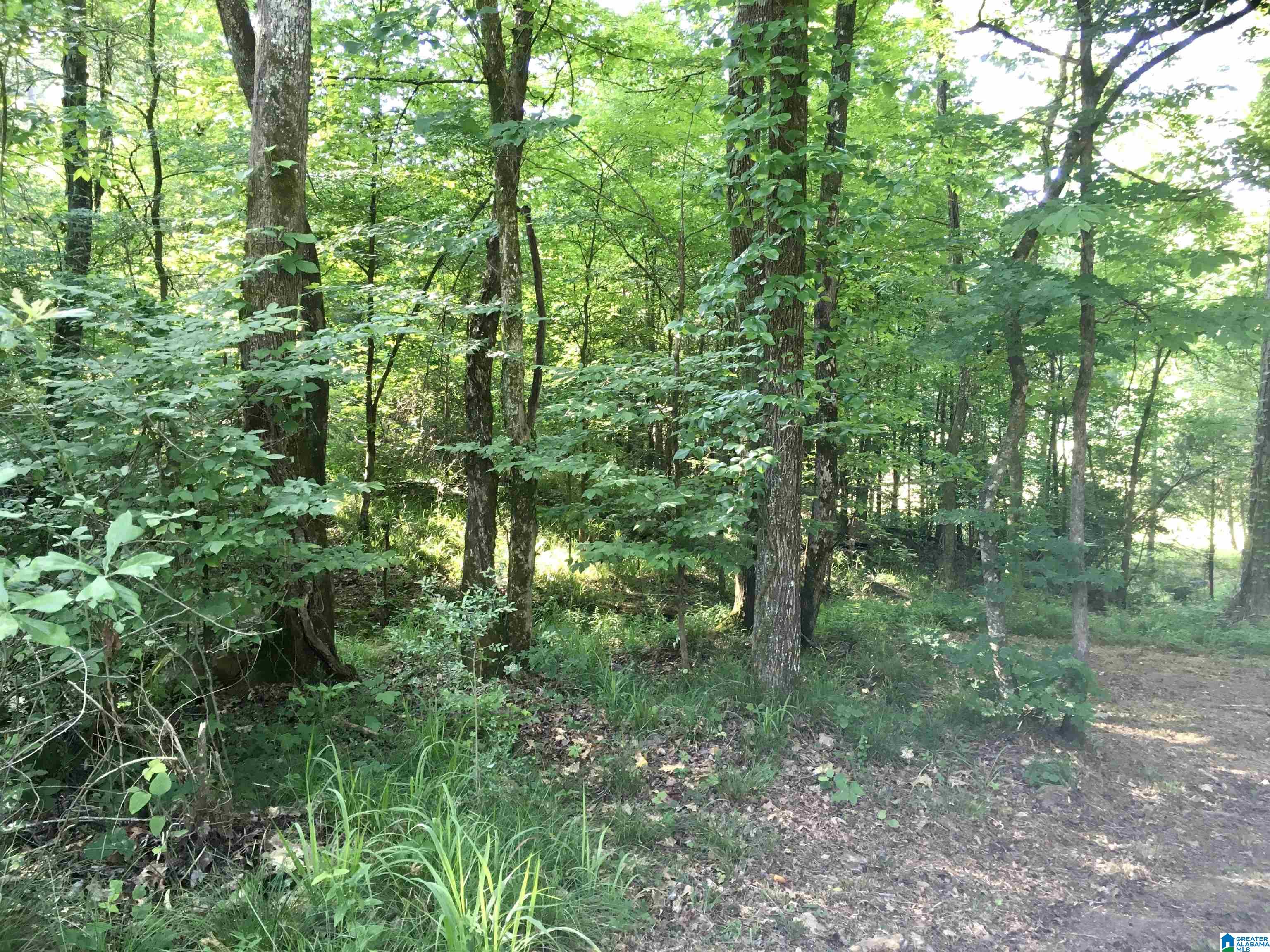 0 Quail Ridge Road, Unit 1 Oneonta, AL 35121 - Photo 16 of 29