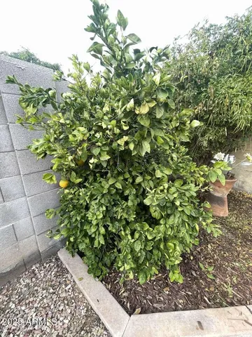 $487,000 | 3610 West Menadota Drive, Glendale, AZ 85308