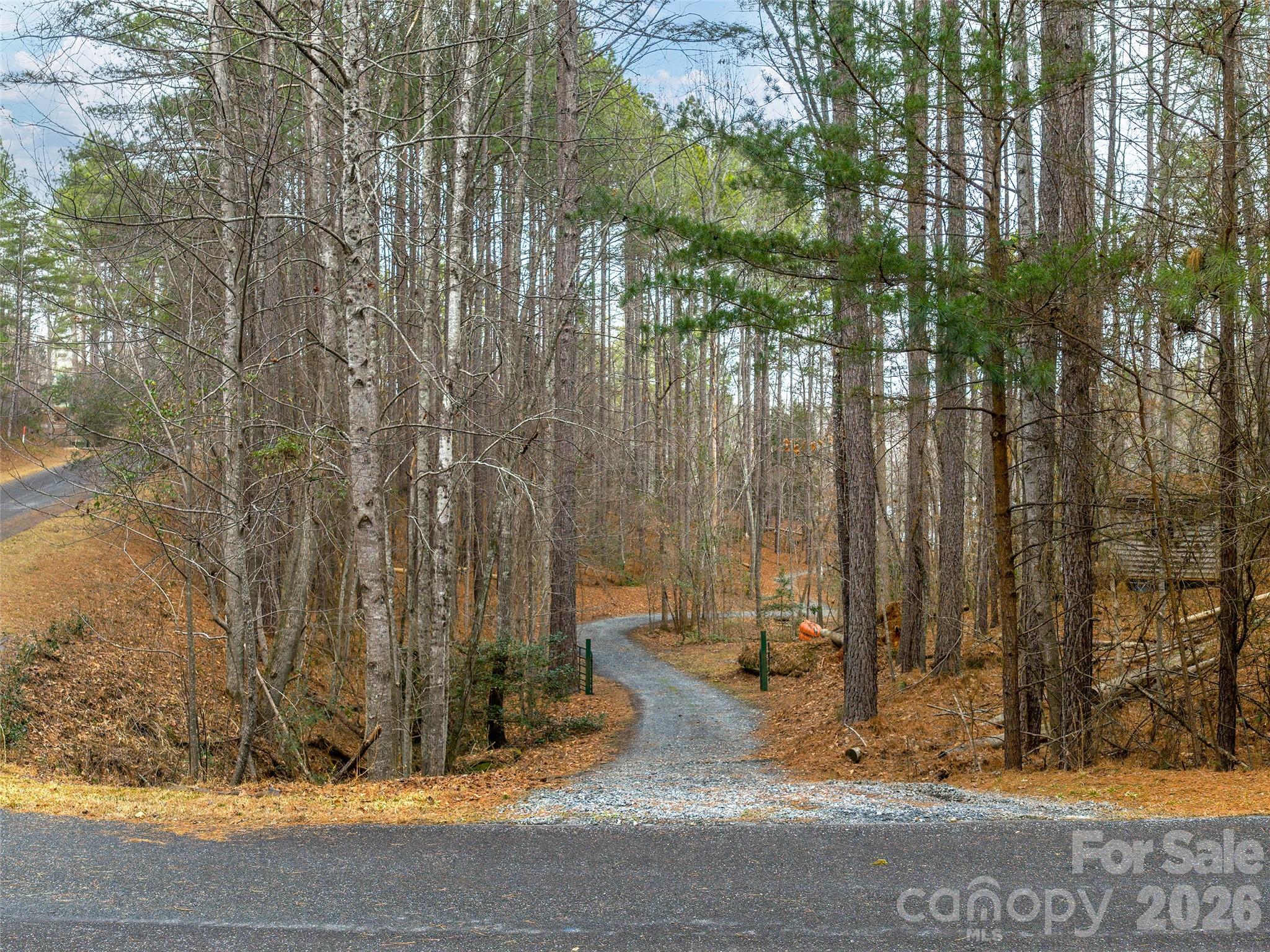 201 Hawk Ridge Drive Mill Spring, NC 28756 - Photo 40 of 44 Gallery Image 40