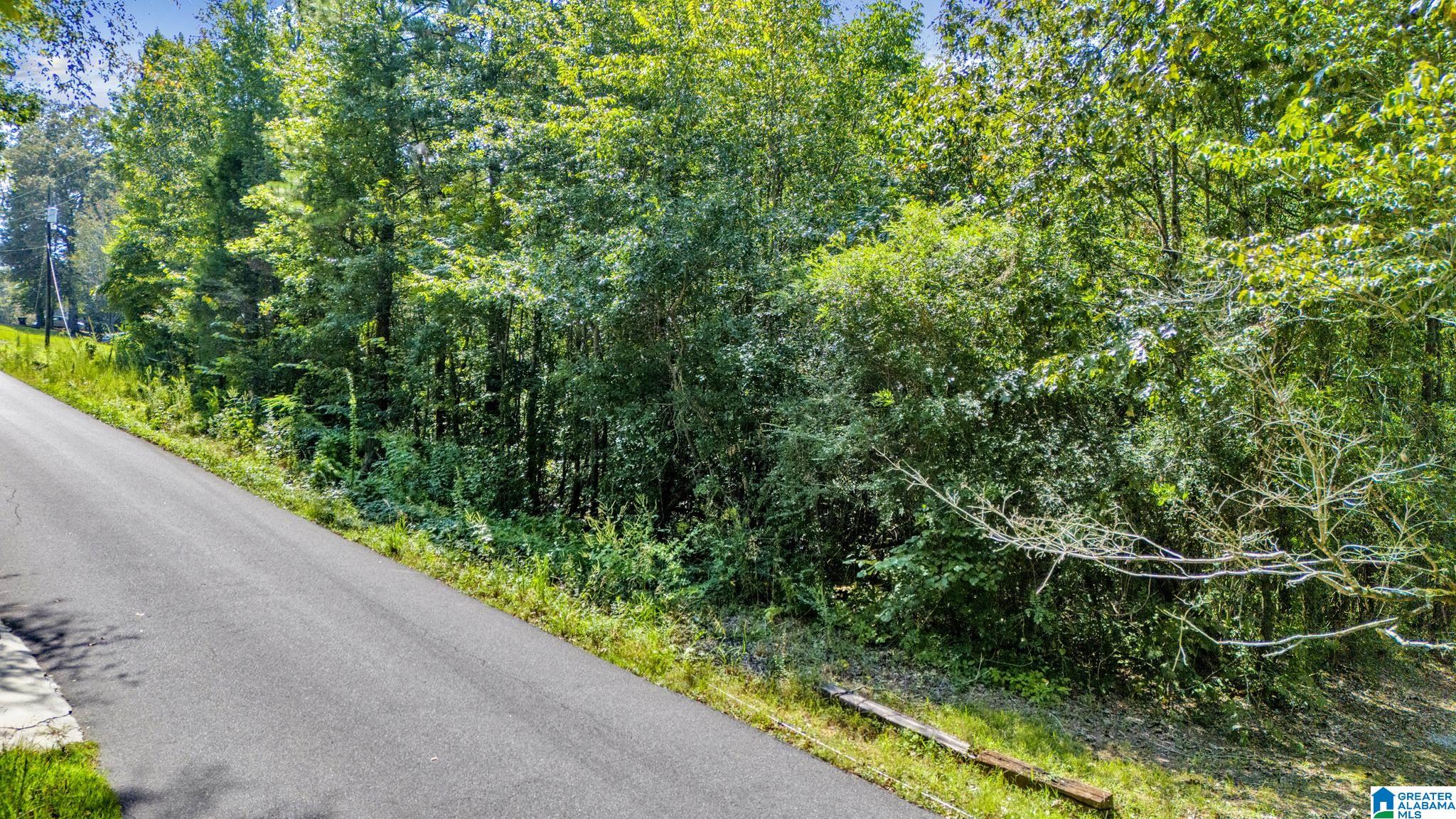 6659 Burchfield Loop McCalla, AL 35111 - Photo 3 of 7