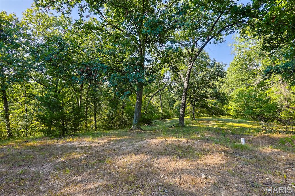 145 Eagle Ridge Lane Winfield, MO 63389 - Photo 21 of 39