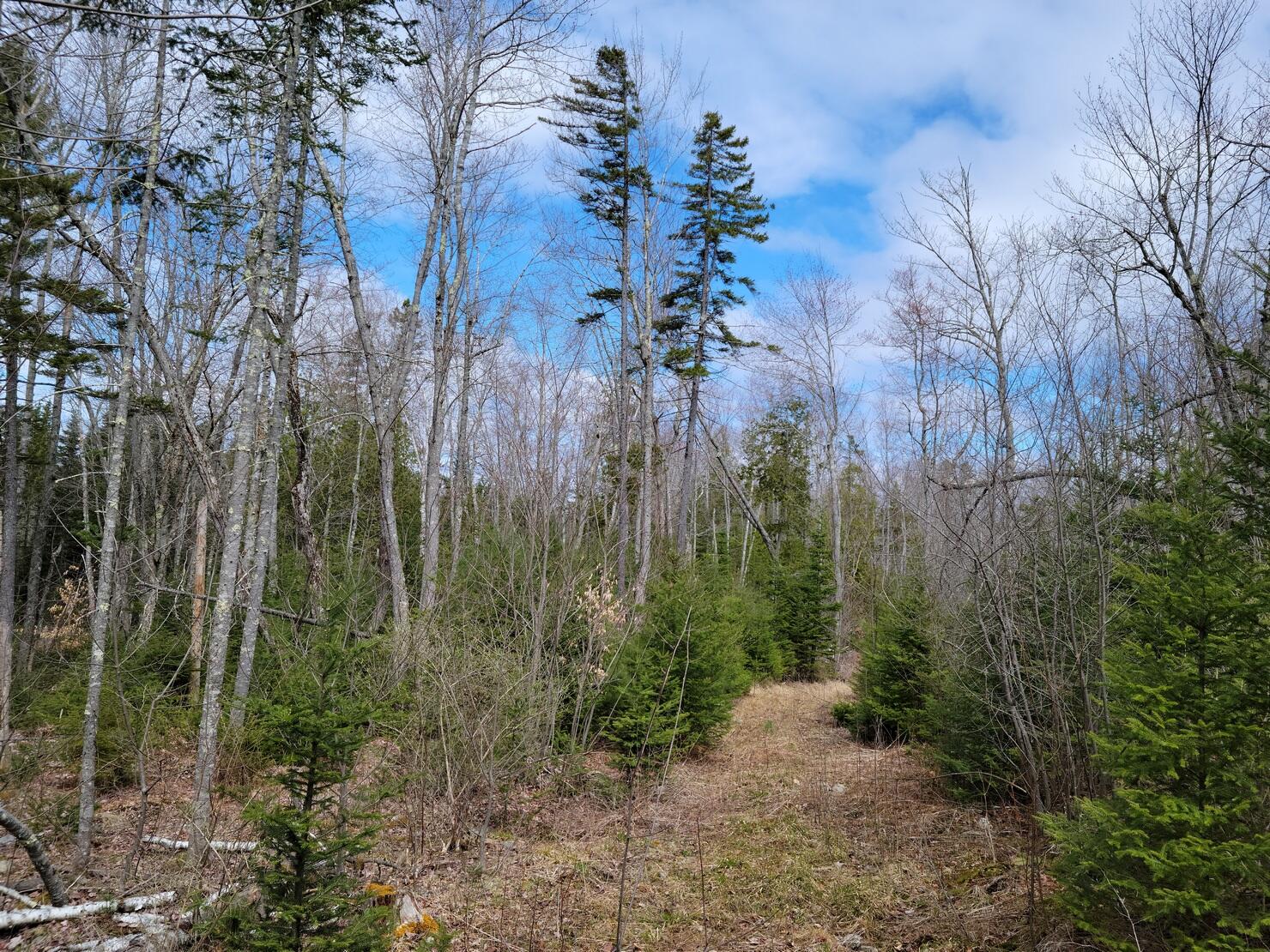 140 Back Searsport Road Belfast, ME 04915 - Photo 5 of 15 20220430_105346