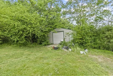 a view of a forest with a houses